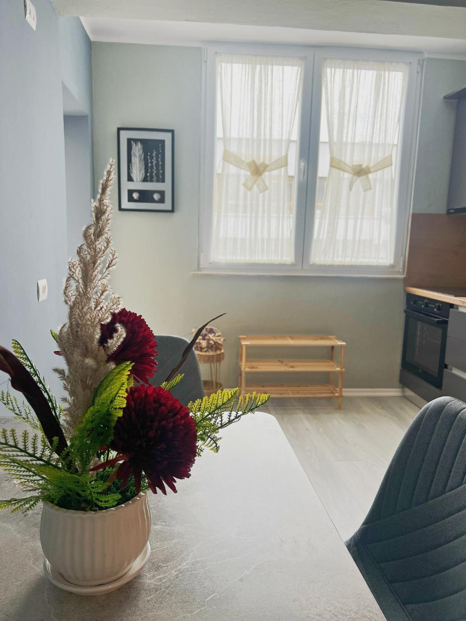 Joyful Apartment 地拉那 外观 照片